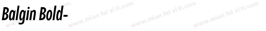 Balgin Bold字体转换